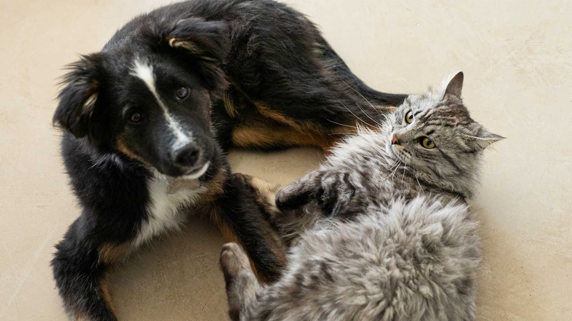 20240927_001_1920x1080